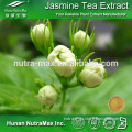 Made In China Jasmine Tea Extract Tea Polyphenols 30%
